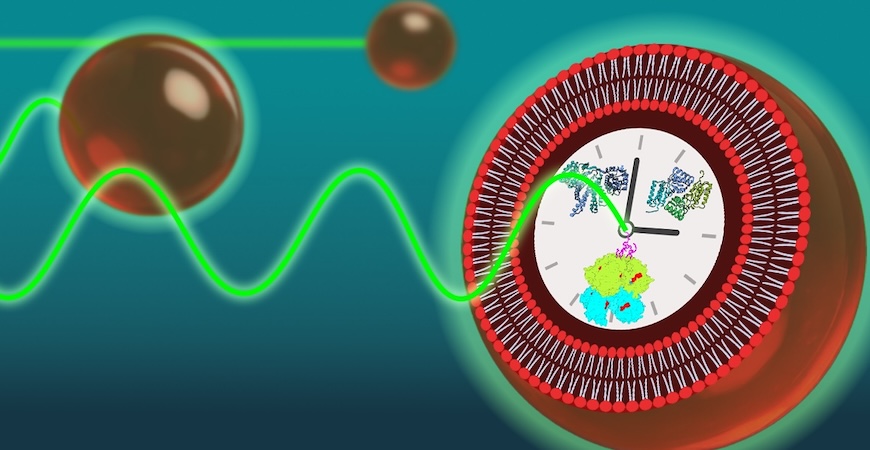 A graphic depicts a clock and dots connected by a wavy line 