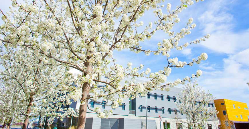 UC Merced campus