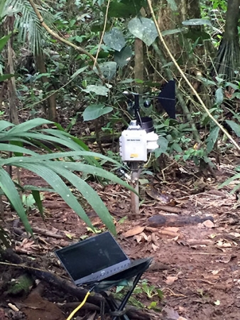 Then-student Angel Fernandez-Bou built new instrumentation for the study.